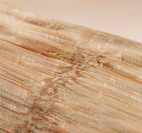 bamboo-shell-grain-macro bamboo-shell-grain-macro